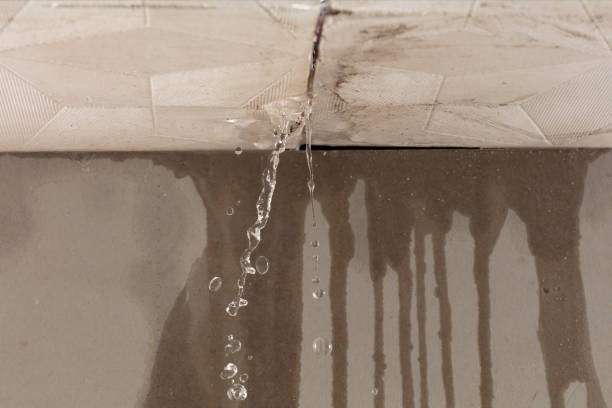 Professional Water Damage Repair technician working in Nevada, TX
